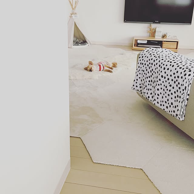 haruhinaさんの実例写真