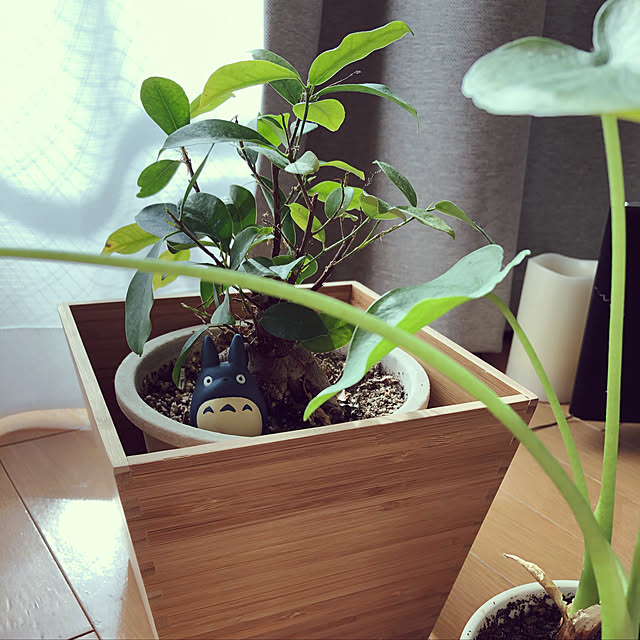 yuzuさんの実例写真