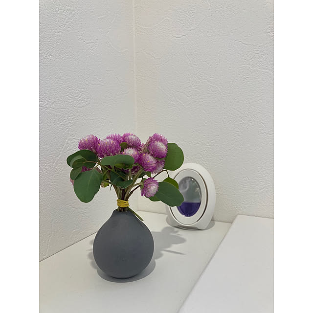 バス/トイレ/花のある暮らし/ドライフラワーのある暮らし/ユーカリポポラス/千日紅...などのインテリア実例 - 2024-09-14 08:10:23