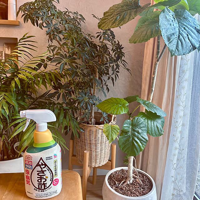 hachiさんの実例写真