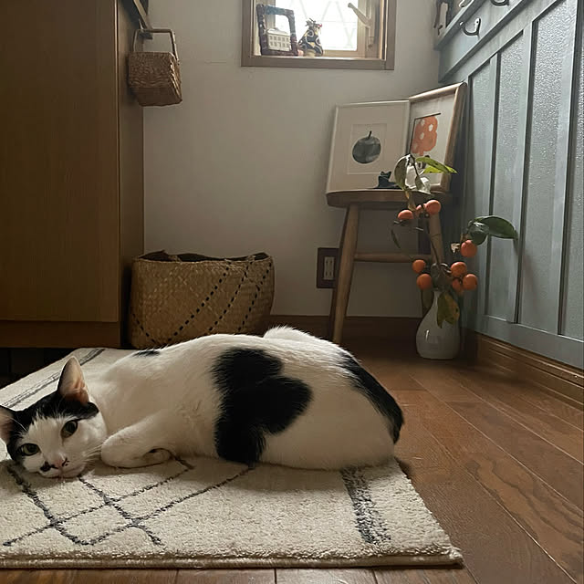 nobikoさんの実例写真