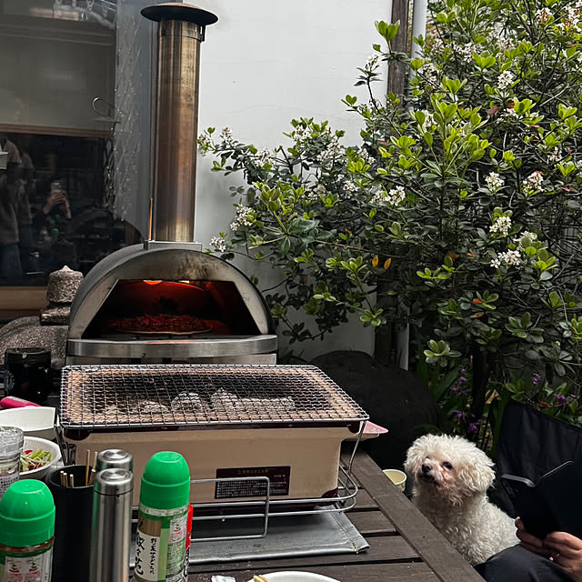 chacoさんの部屋