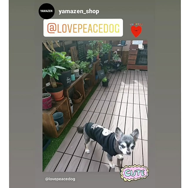 lovepeaceさんの実例写真