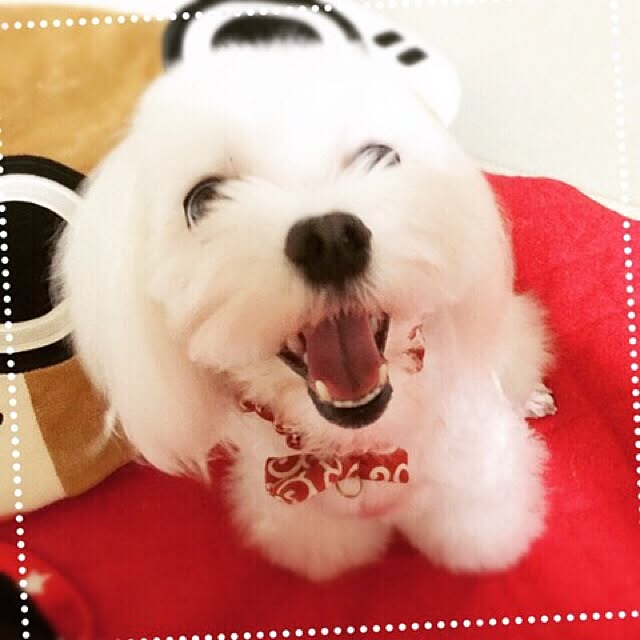 Ryokoさんの実例写真