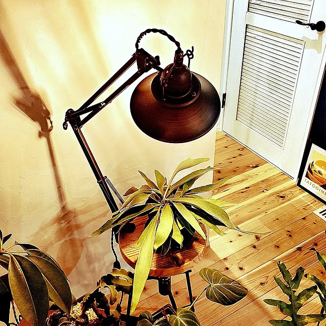 rimoleoさんの実例写真