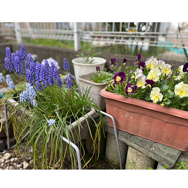 CoCo0617さんの部屋