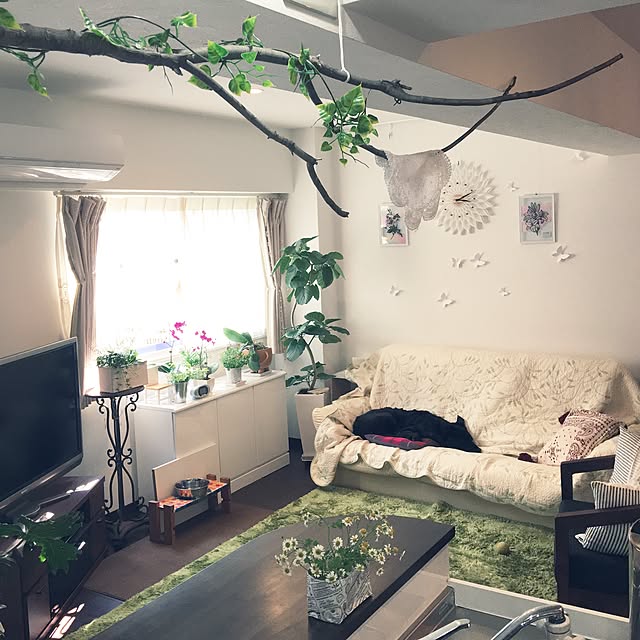 Sakura_hanaさんの実例写真