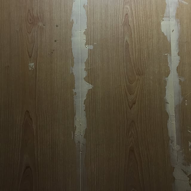 Sekkyonistさんの実例写真