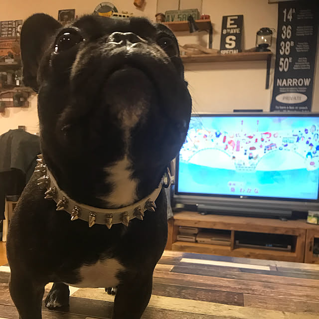 1000gaさんの実例写真