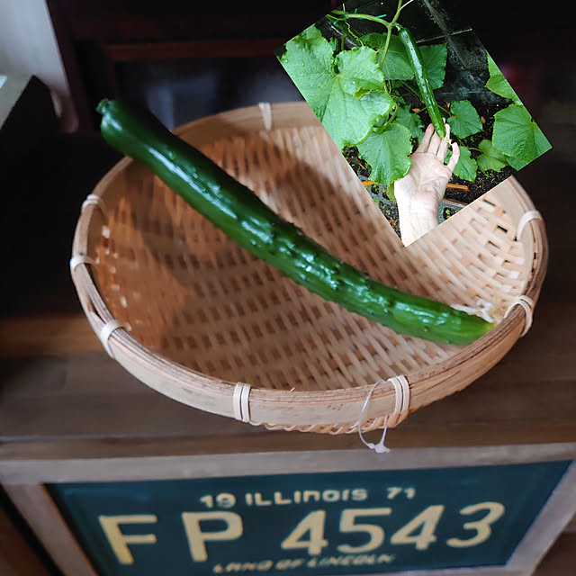 fukuさんの実例写真