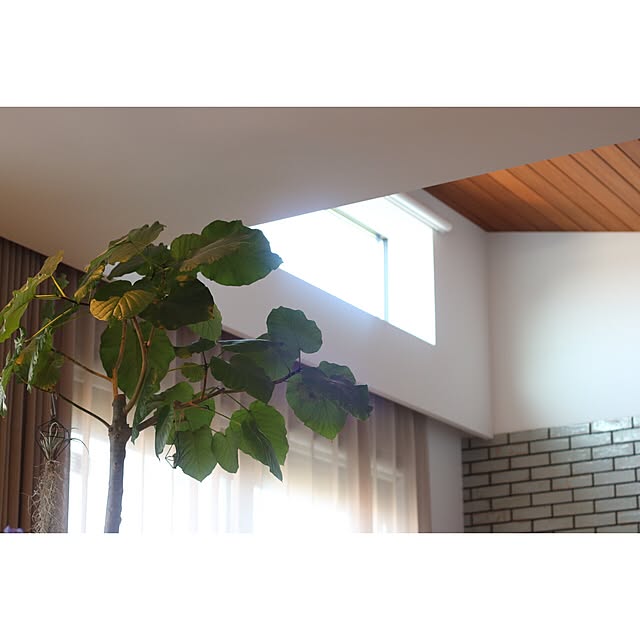 tSaさんの実例写真