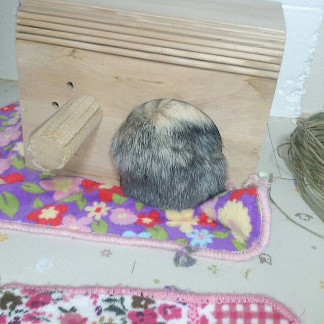 komugiさんの実例写真