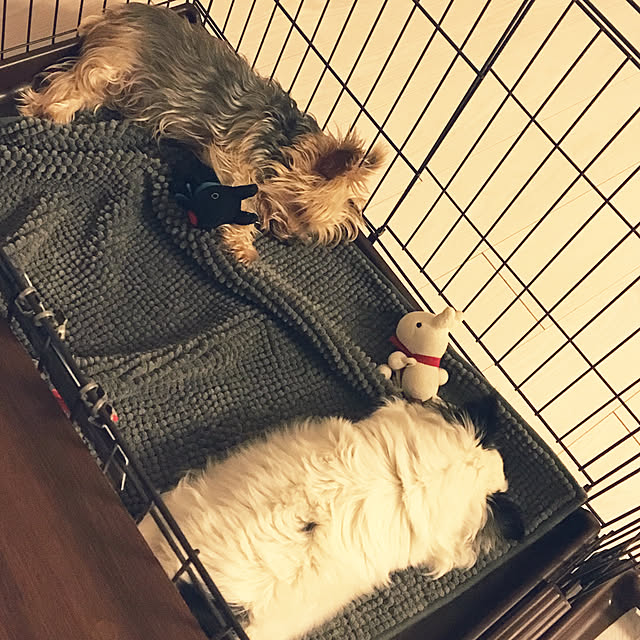 ohanaさんの実例写真