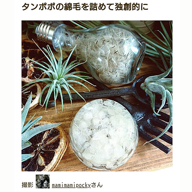 mamimamipockyさんの実例写真