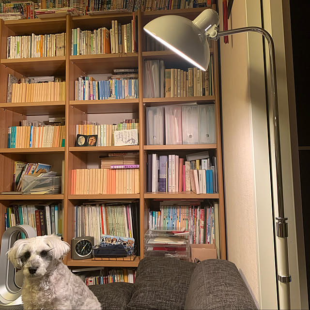 myroさんの実例写真
