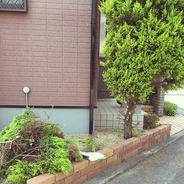 miki_kさんの実例写真