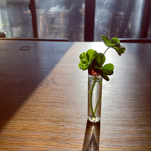 marucoさんの実例写真