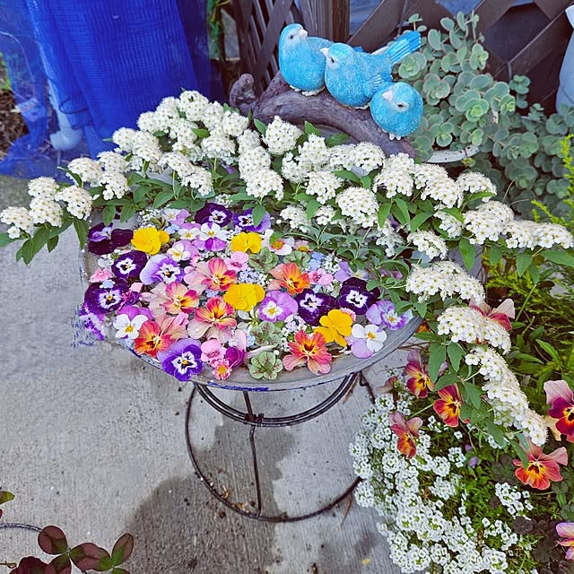 mocomocoさんの実例写真