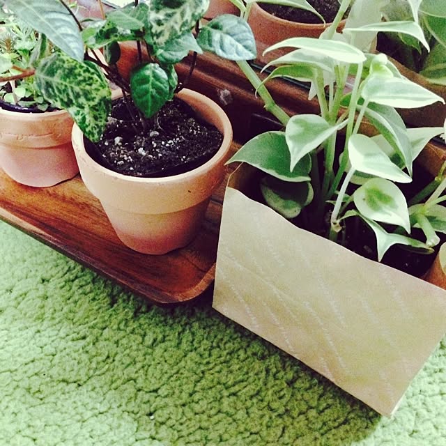 knbn0718さんの実例写真