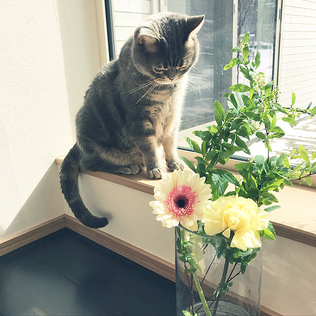 haruchibiさんの実例写真