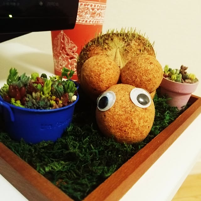 chikaさんの実例写真