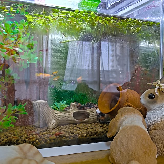 mariaさんの部屋
