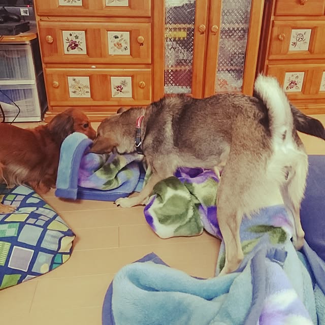 andさんの実例写真
