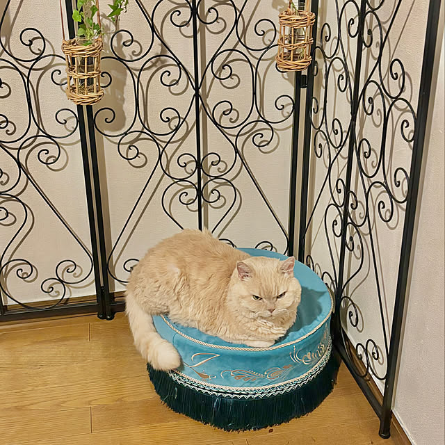 naokoさんの部屋
