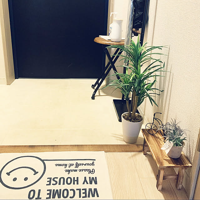 100均/セリア/フェイクグリーン/玄関/入り口のインテリア実例 - 2021-08-09 07:04:12