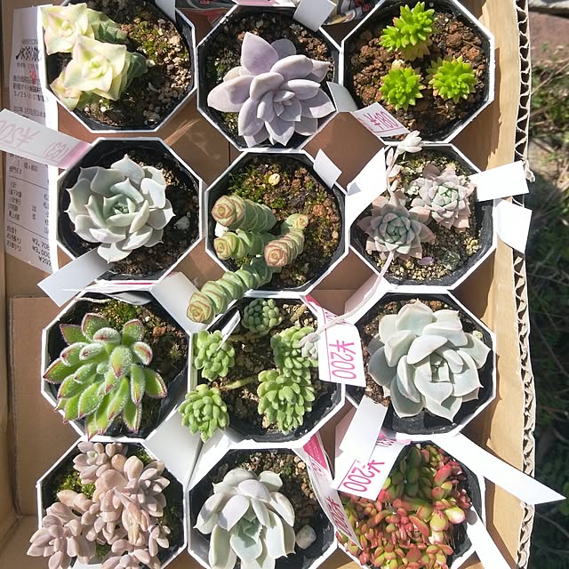 j.tさんの実例写真