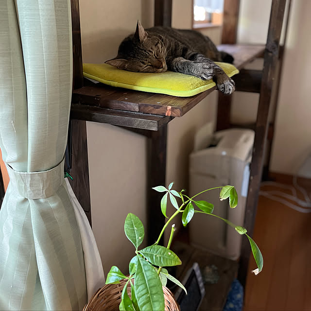 mikan161さんの実例写真