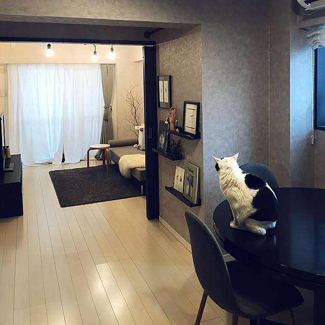 tititomyuさんの実例写真