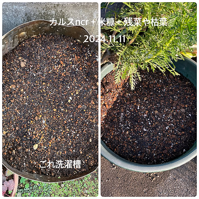 buchiさんの部屋