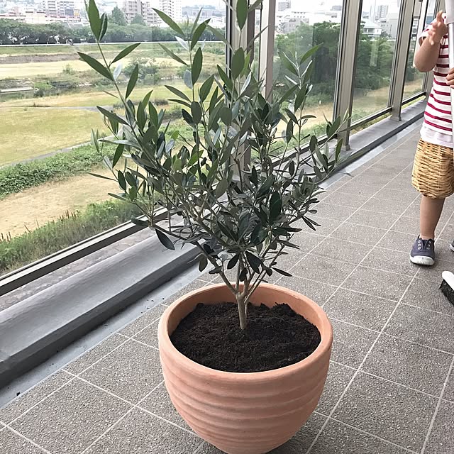 momopanmanさんの実例写真