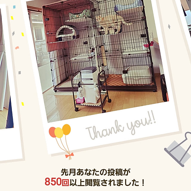 makoさんの実例写真