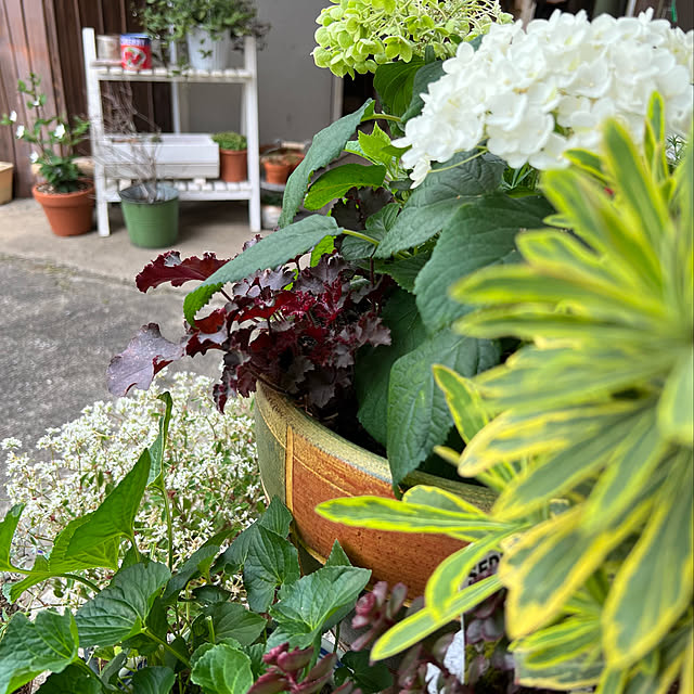 mohhaさんの実例写真