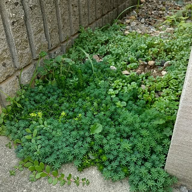 meiさんの実例写真