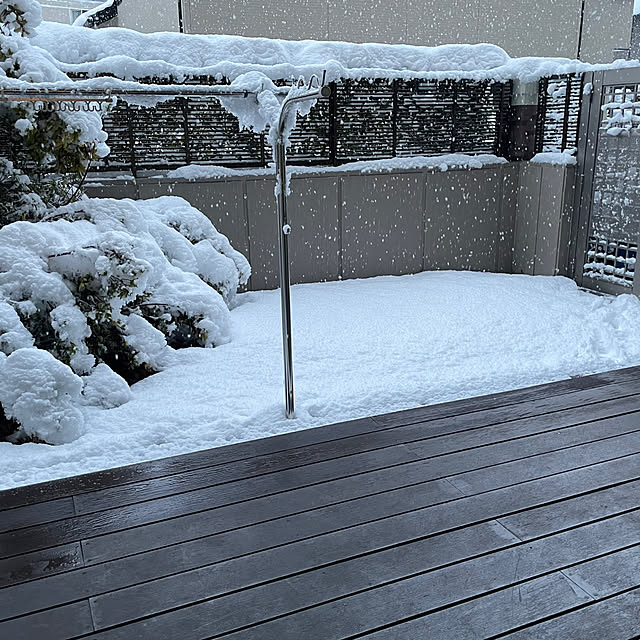 maryonaさんの部屋