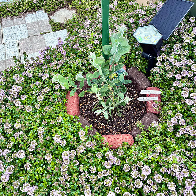 Junさんの実例写真