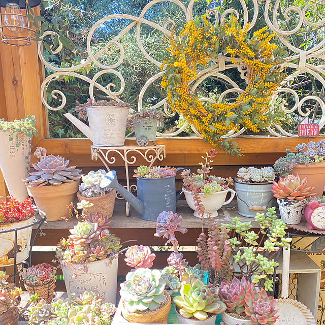 mintteaさんの部屋