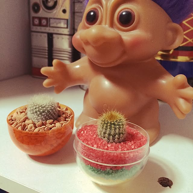 mimiさんの実例写真