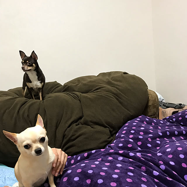 nacchintunnさんの実例写真