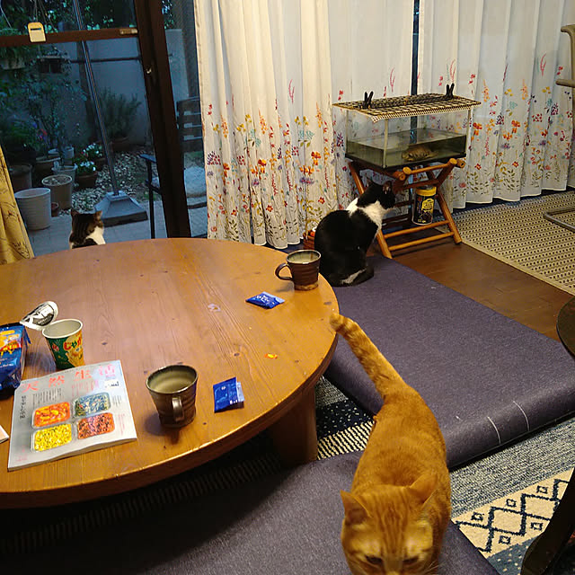 okyosan101さんの実例写真