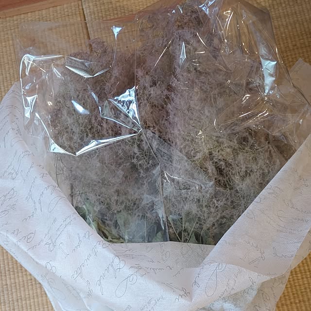monnさんの実例写真