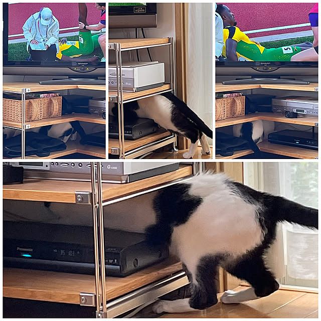 nobikoさんの実例写真