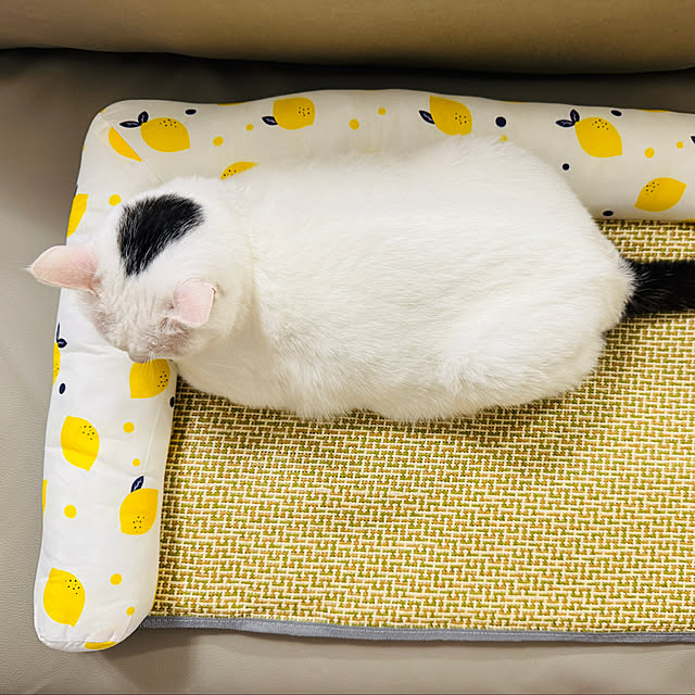 pcu110さんの部屋