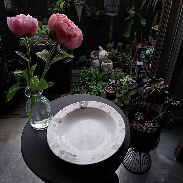 noaさんの実例写真