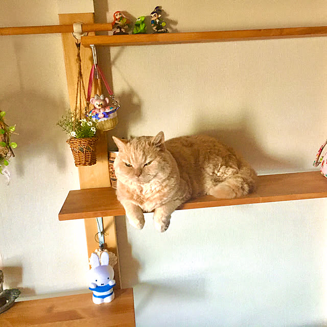 naokoさんの部屋