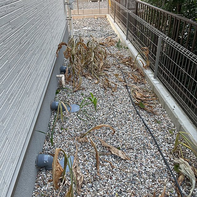 sakabe_shinさんの実例写真