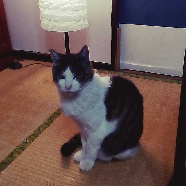 may30さんの実例写真